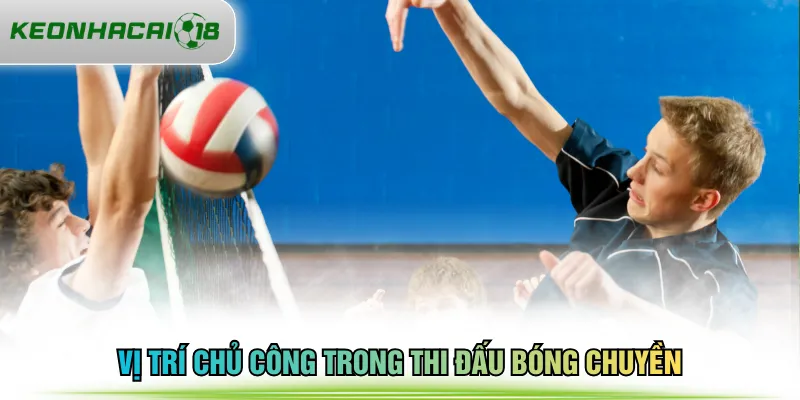 Vị trí chủ công trong thi đấu bóng chuyền